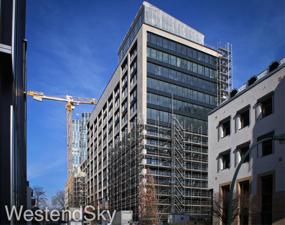 FFM Baumanagement Bild
